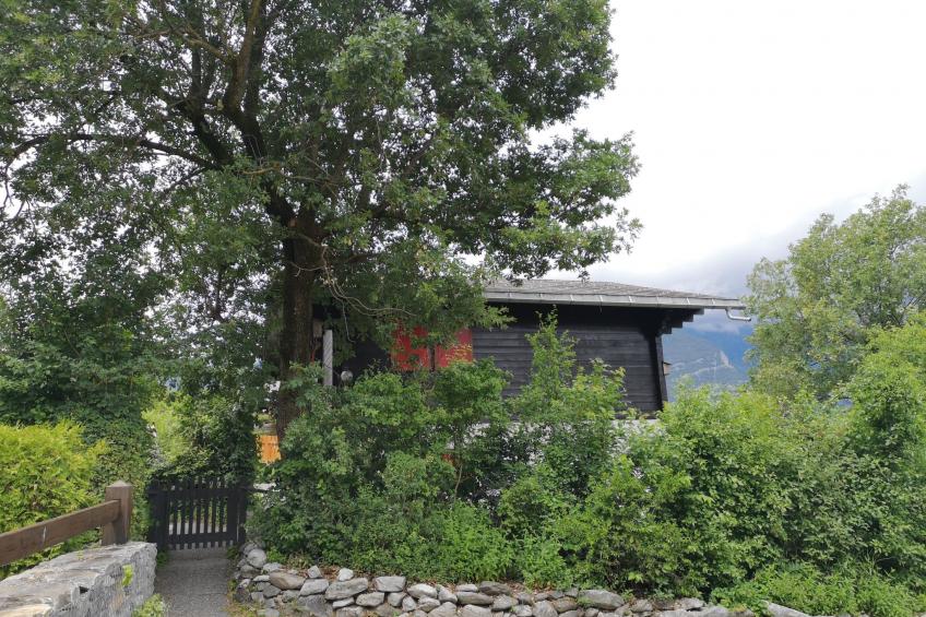 Chalet Oase - foto 16