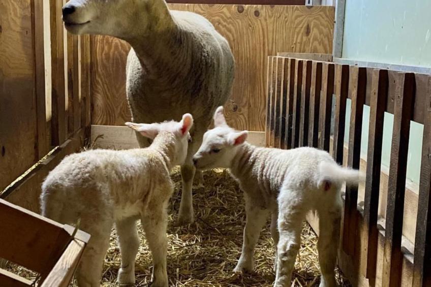 Ober-Tiefenbühl - foto 27