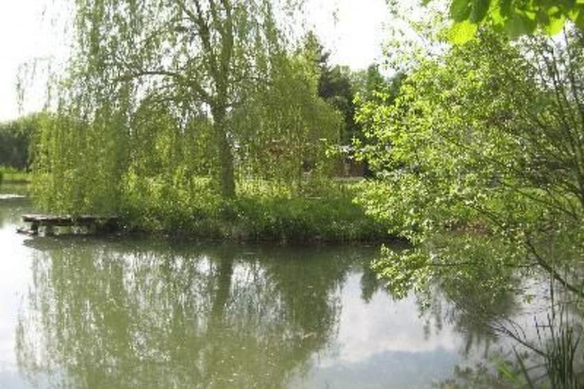 mit naturnahen Badeteich - foto 15