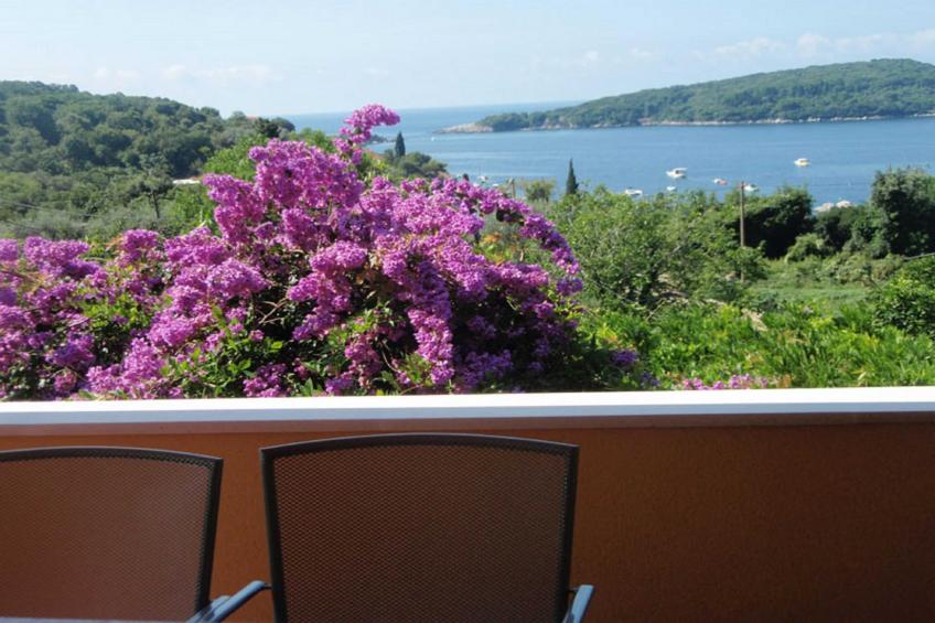 Apartment Luna - One Bedroom Apartment with Terrace and Sea View (Molunat) - foto 15