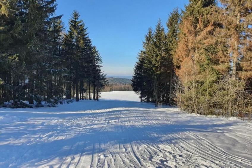 Thüringer Wald - foto 30
