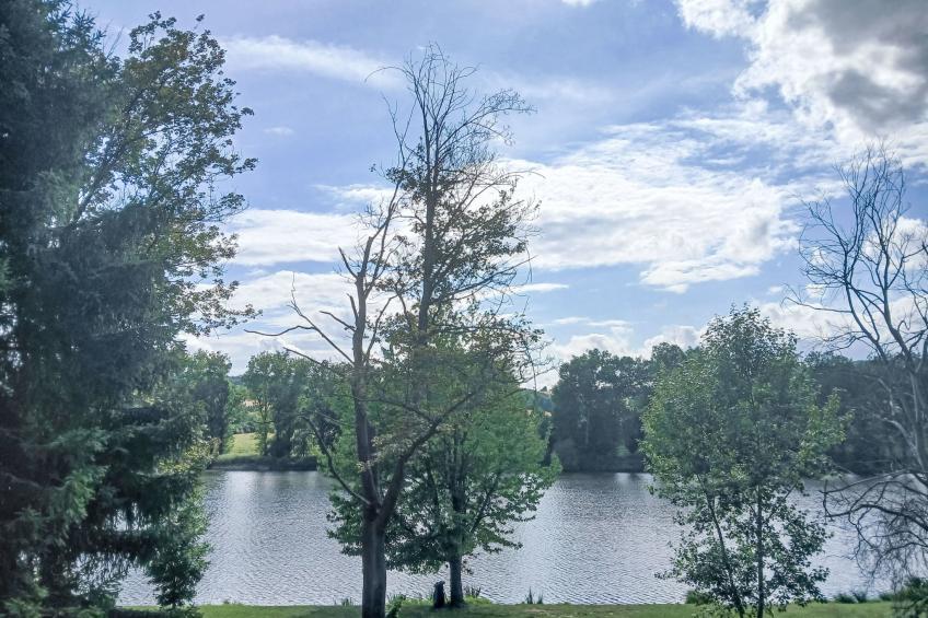 U Rybníka - foto 28