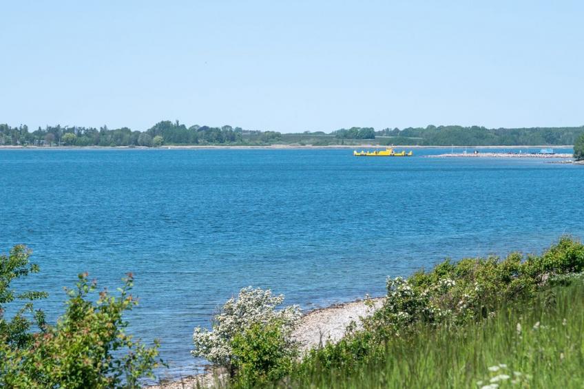 "Tobrjön" - 200m to the inlet in Sealand - foto 21