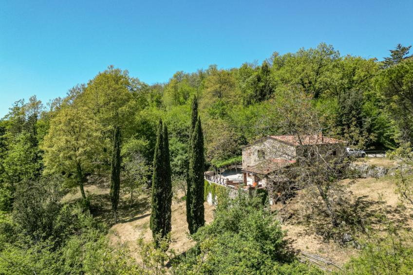 Il Grillo Parlante (PAT206) - foto 39