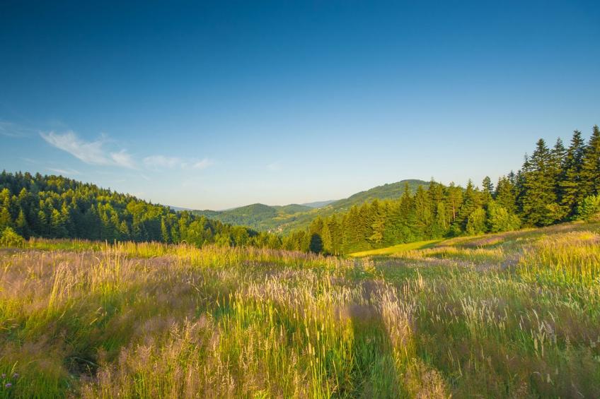 Zawoja - foto 63