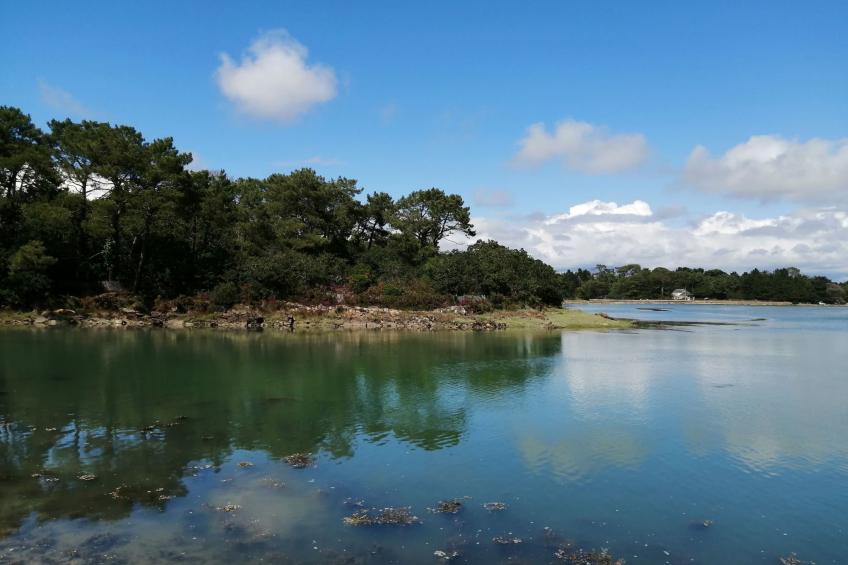 Bretagne Loctudy Haus Les Camélias 3 Personen - foto 33