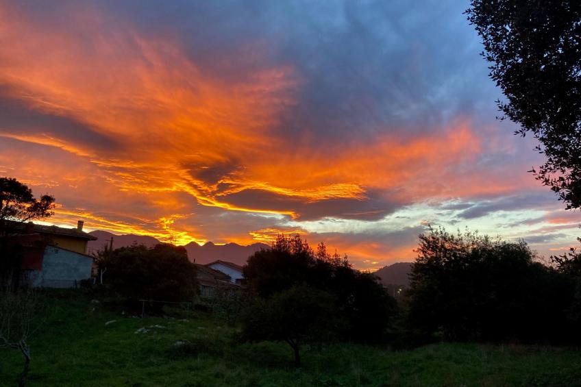 Freistehendes Ferienhaus Maria La Franca - foto 21