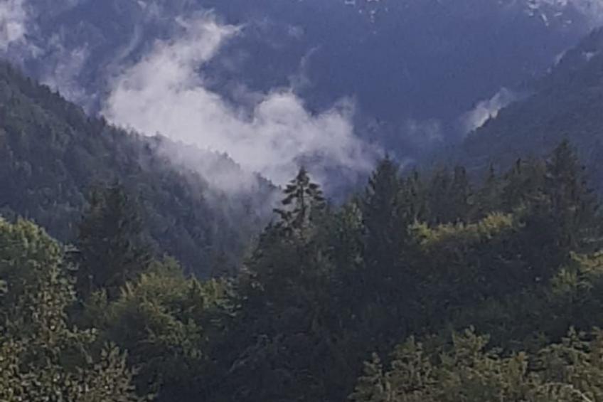 Vila Roberta Breaza Brasov - foto 31