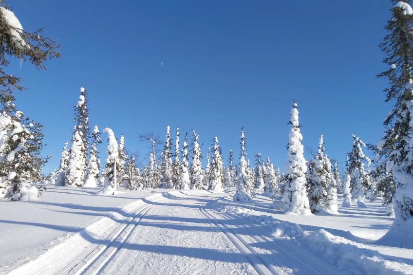 Örtsylä b - foto 26