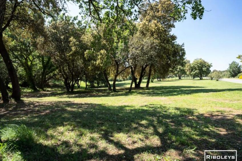 Spacieuse Villa Au Cœur Du Golf De Béziers - foto 29