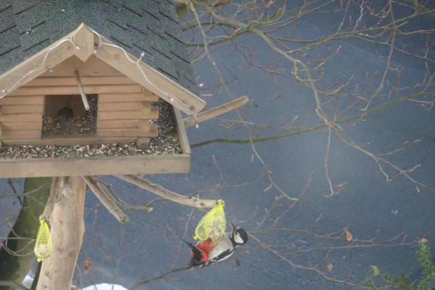 FeWo Panorama - foto 47