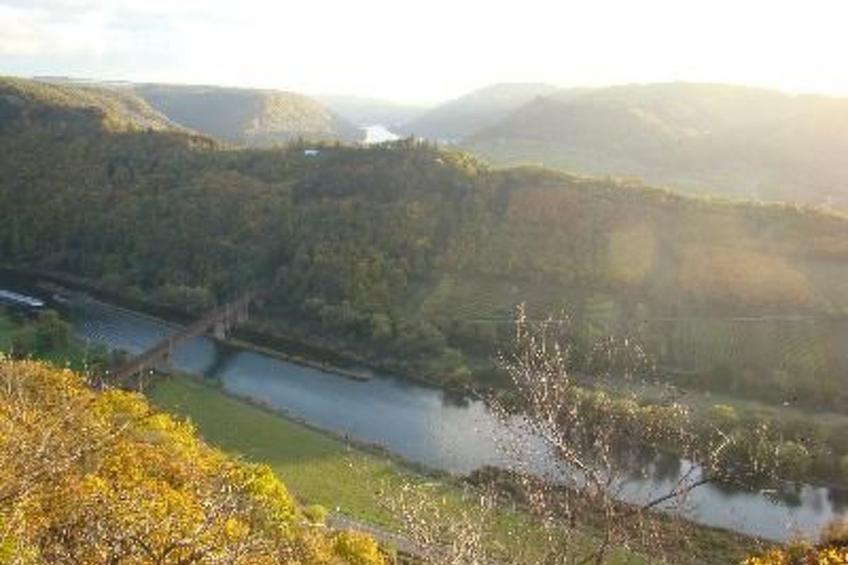 Altes Winzerhaus in Mesenich - foto 15