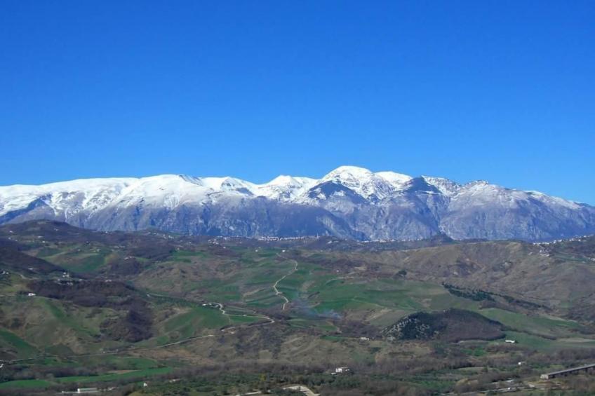 Wohnung L'Ulivo - foto 12