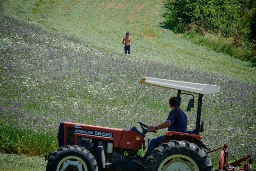 Il Melograno Panoramahaus - foto 60