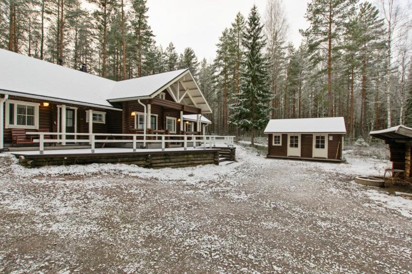 Kilpolan orvokki, pauliina ja karoliina - foto 2