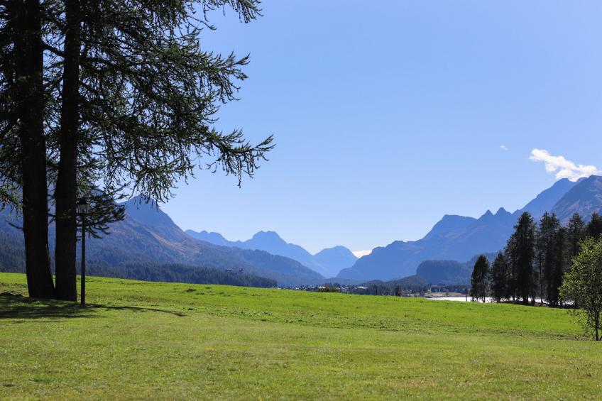 Chesa Murtel - foto 25