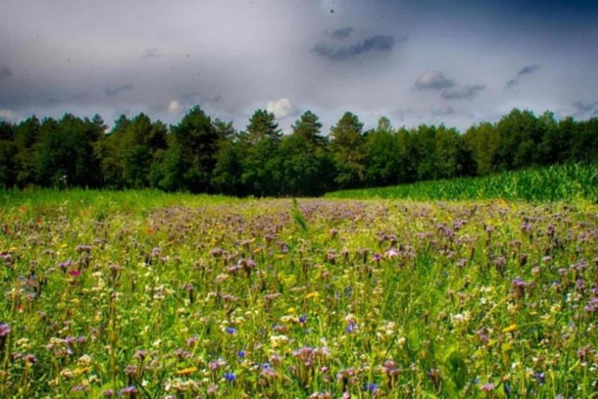 Vakantiepark Schaijk 9 - foto 26