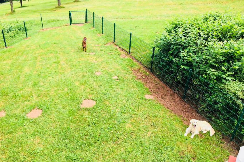 Charly in Kirchheim Seepark - foto 26