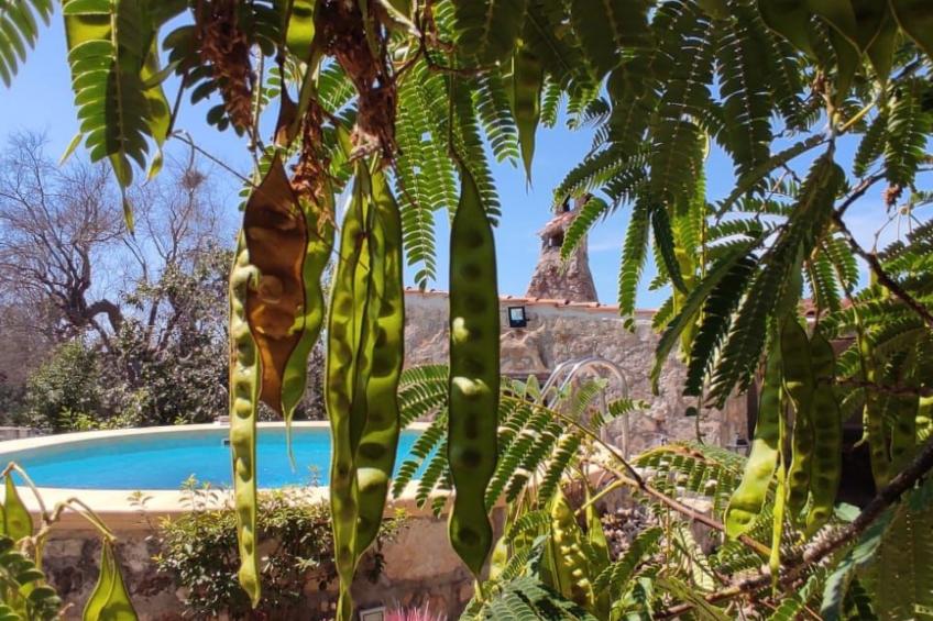 Villa Barone Landhaus mit Pool - foto 4