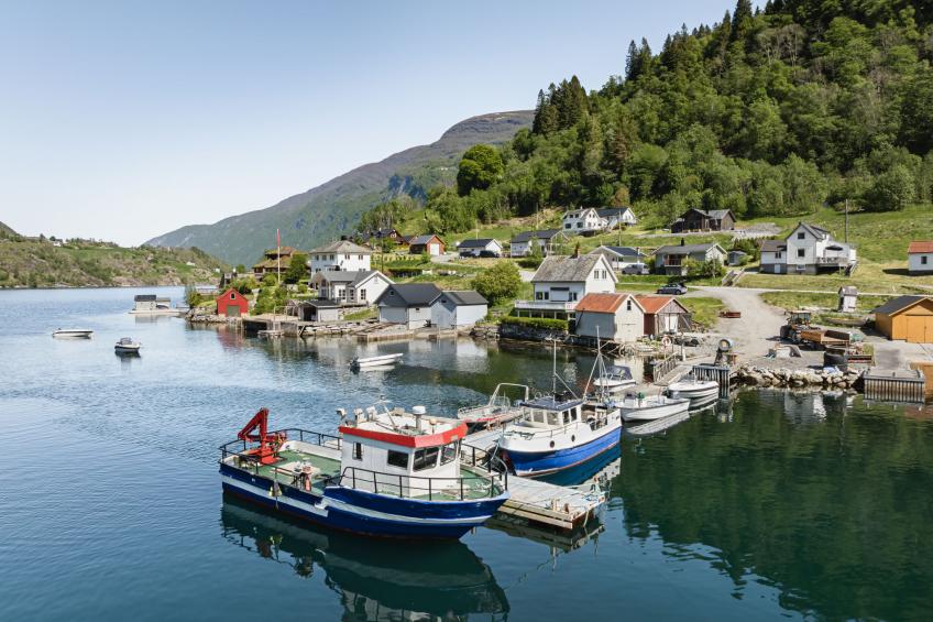 Indresfjord (FJS615) - foto 5