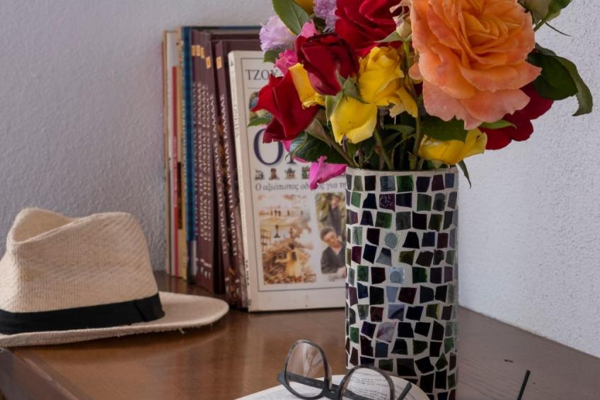 Villa Palios Stathmos - foto 22