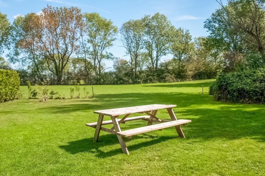 Super Flux - foto 36