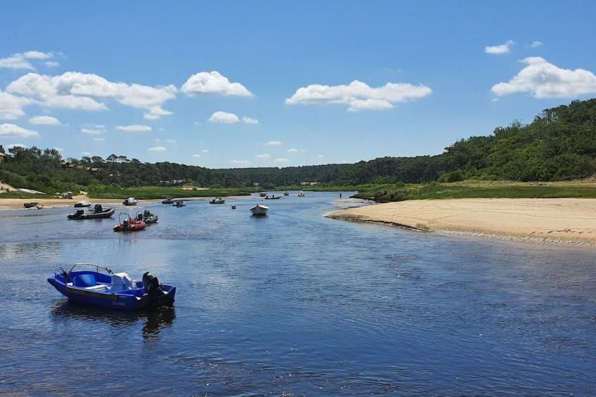 Villa Cocoon Contis-plage 1 chambre - foto 19