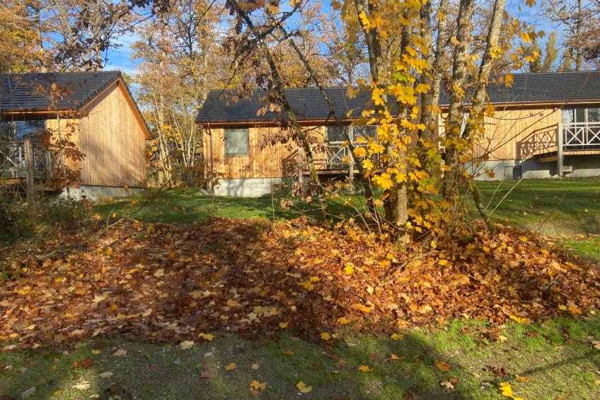 Modernes Chalet für 4 Personen in einem Waldpark - foto 16