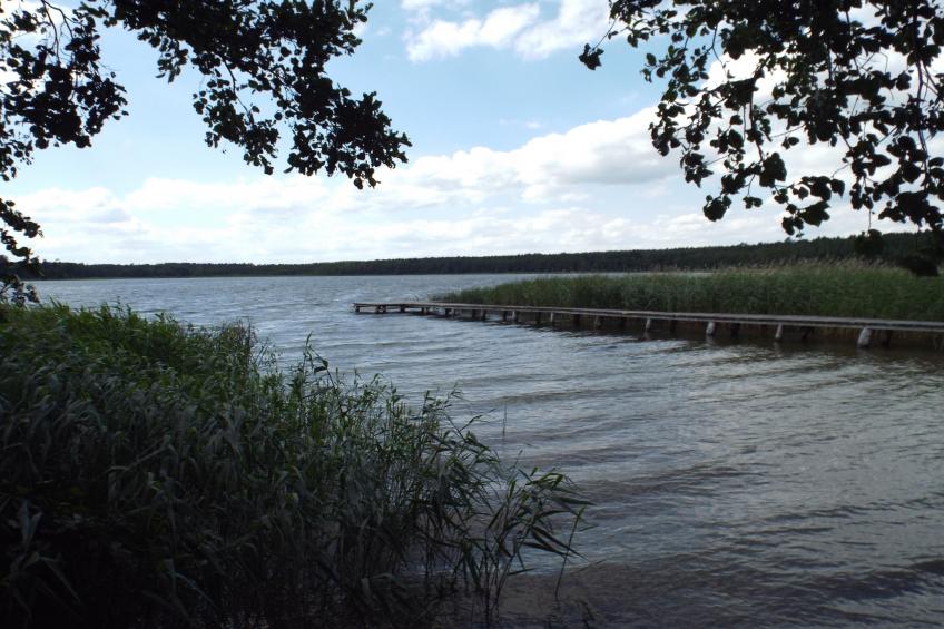 Bungalow Schlowe Am See 4 P - foto 23