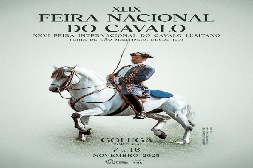 Golegã Boutique Apartment By Gt House - foto 36