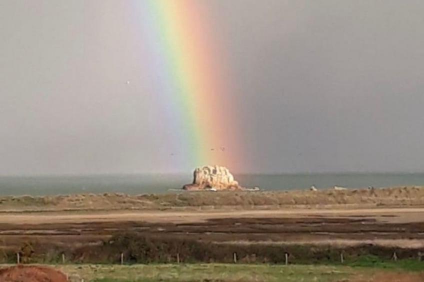Les Chardons Bleus Sauna Jacuzzi Meerblick - foto 12