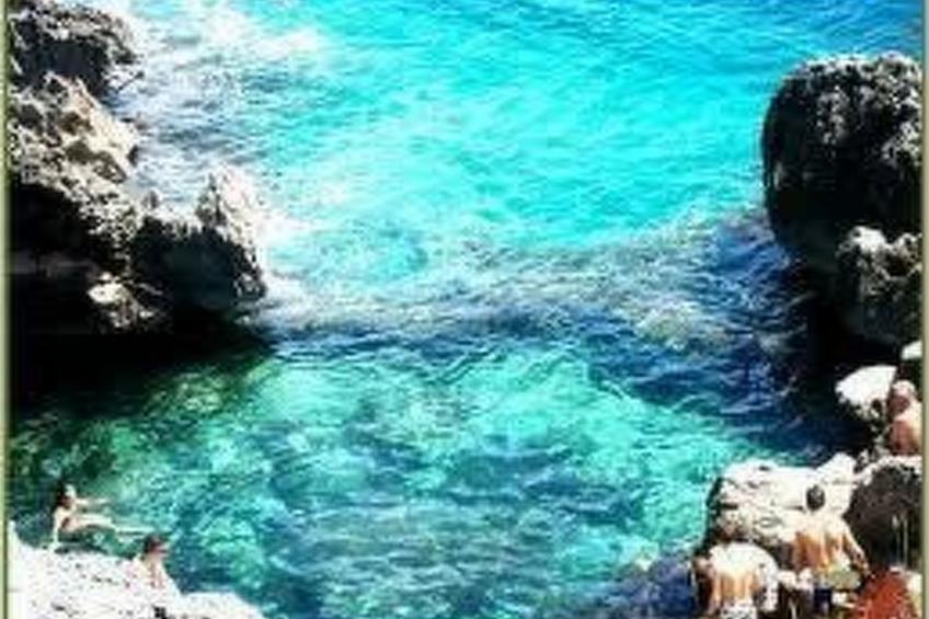 Girasoli in Tricase Porto - foto 46