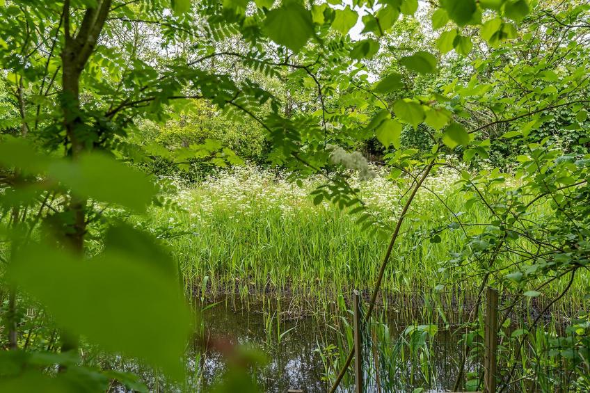 Noorderlicht - foto 12