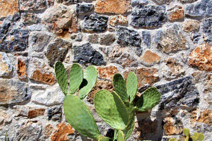 Villa "Dionysos" mit privatem Pool - foto 6