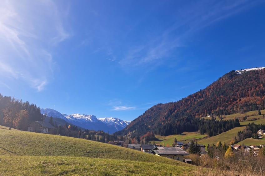 Appartement 2 - foto 31