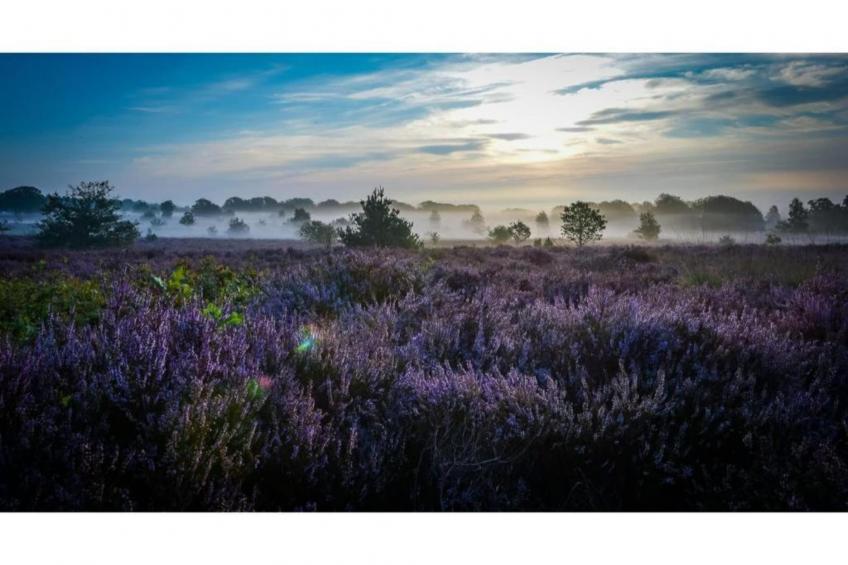 Buitenplaats Holten 10 - foto 31