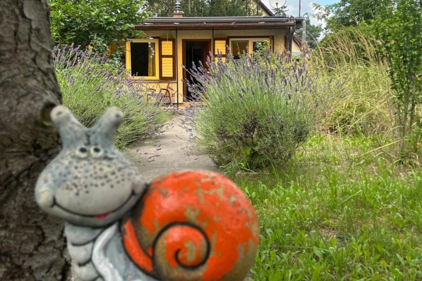 Datscha im Grünen - foto 45