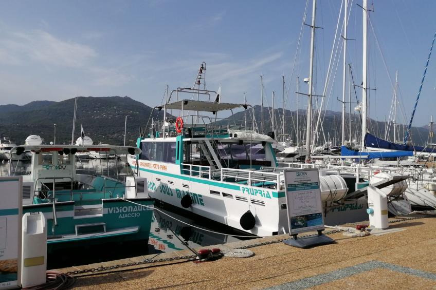 Corse du Sud 10mn von den Stränden entfernt - Olmeto App 4P - foto 17