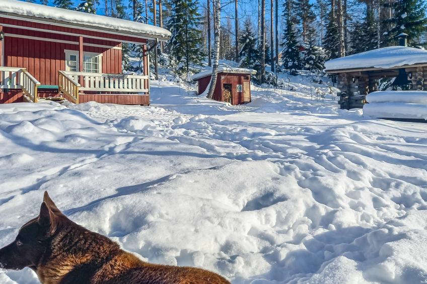 Juurlahti, rantalan lomamökit - foto 8