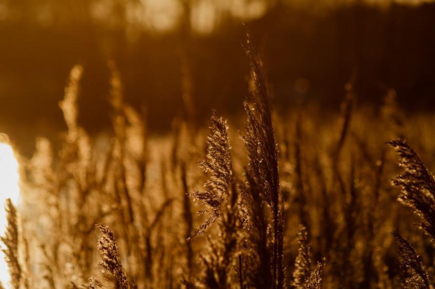 Residenz KrakowerSee - foto 17