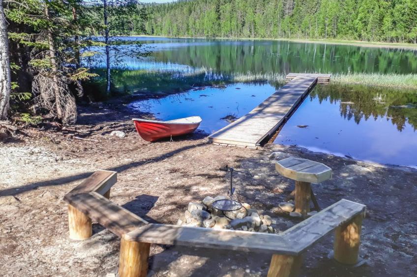 Koli, pihlajapelto - foto 17