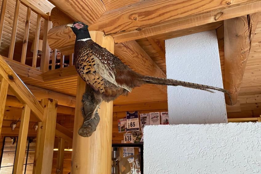 am Rennsteig - foto 12