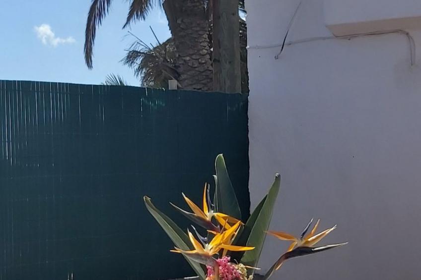 Finca Villa Clara 4 - foto 15