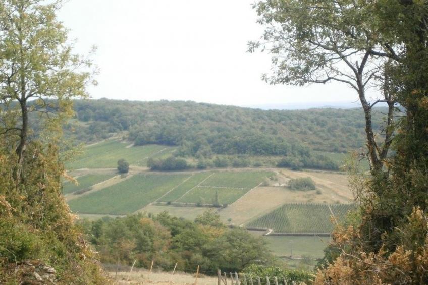 Le gite du randonneur (Das Ferienhaus des Wanderers) - foto 15