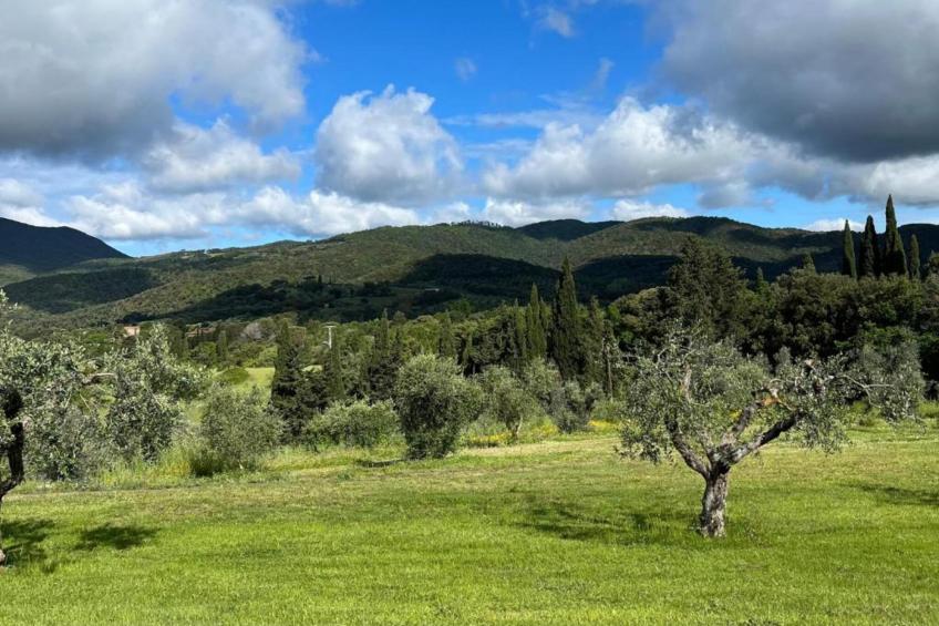 Casa Oleandri - foto 33