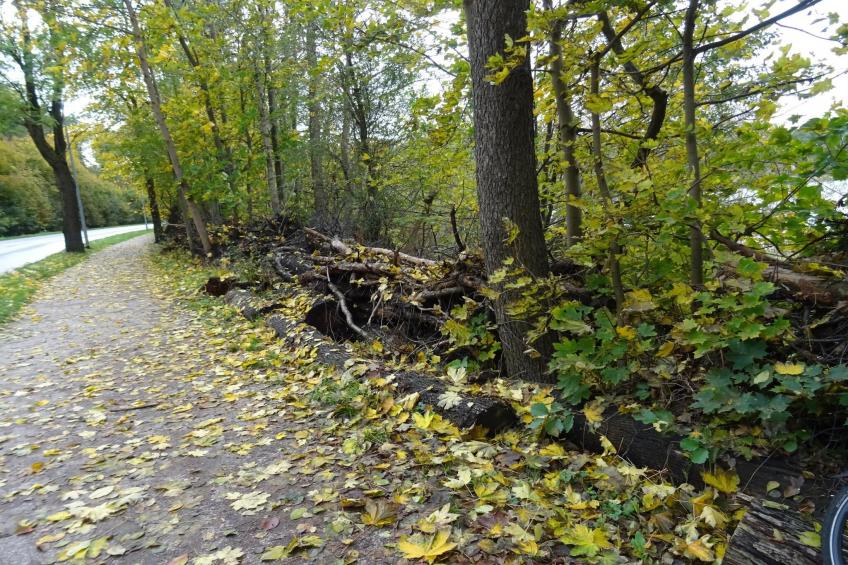 Luxus-Familienappartement / 5 Personen - foto 30