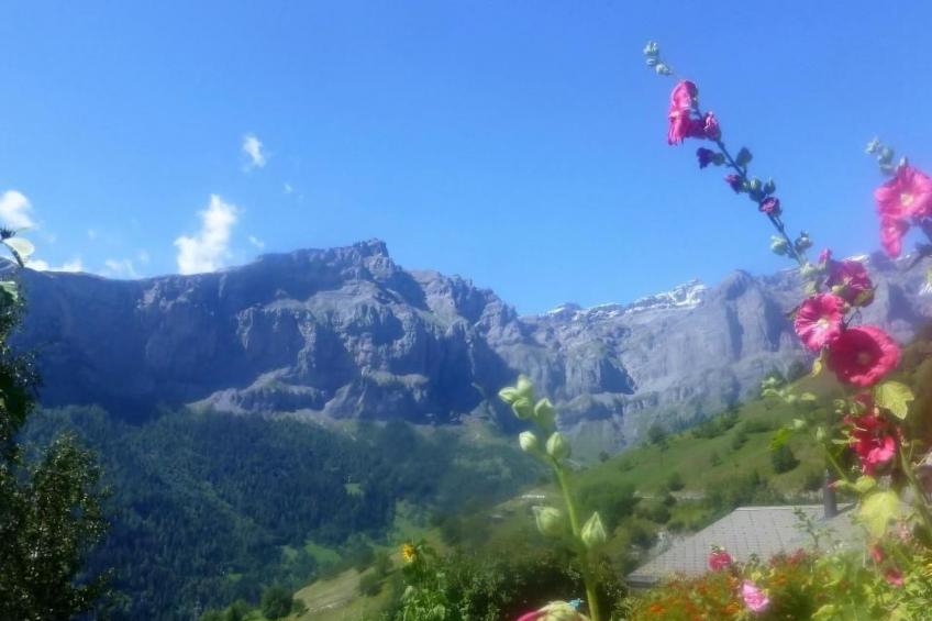 Chalet Abendstern - foto 18