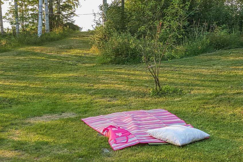 Heituinlahti, mäntyniemi - foto 21