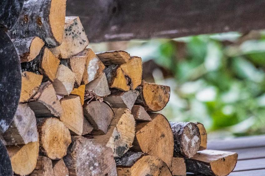 Kuikanranta, rantalan lomamökit - foto 21