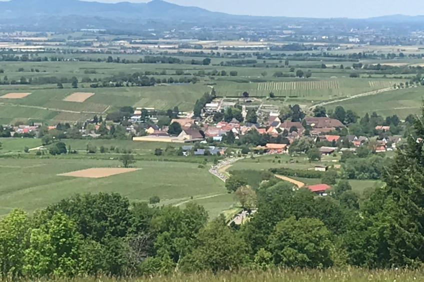 Haus Alpenblick - foto 18